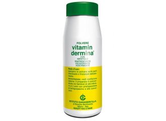 Vitamindermina polvere ment 100 g