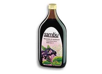 Dunner bevanda sambuco 500 ml