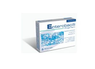 Enterobacilli 10 bustine x 2g