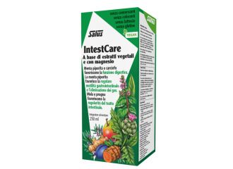 Intestcare 250 ml