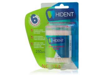 Hi dent stuzzicadenti 250 pezzi