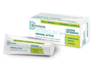 Dermovitamina acneclin idrogel attivo azione intensiva 40 ml
