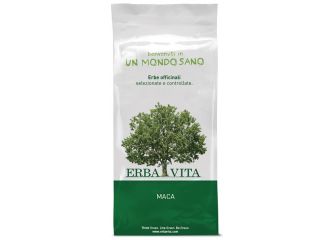 Maca polv.100g