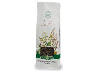 Epilobio parviflorum 100g