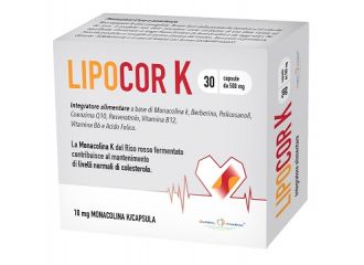 Lipocor k 30 capsule