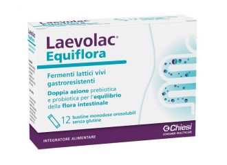 Laevolac equiflora 12 buste