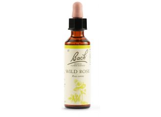 Wild rose bach orig 20 ml