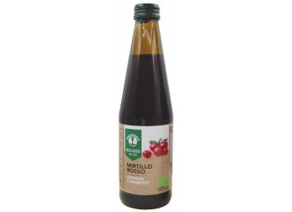 Succo di cranberry mirtillo rosso 330 ml