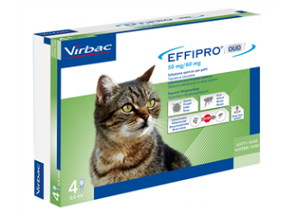 Effipro duo*4pip 1-6kg gatti