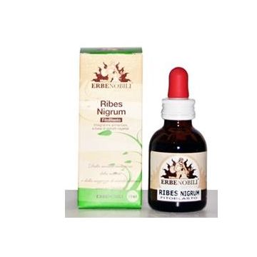 Fitoblasto ribes nigrum 50 ml