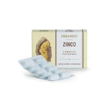 Zinco 24 capsule vegetali
